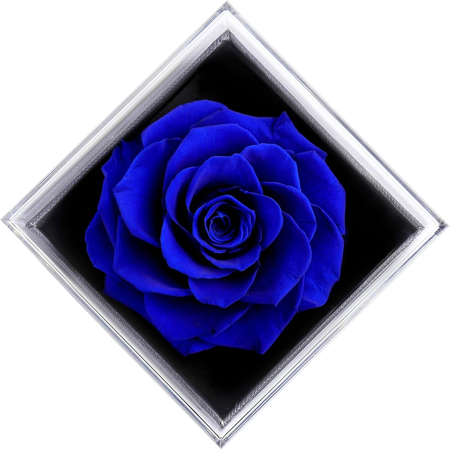 Preserved Real Blue Flower Rose with Silver-Tone Heart Necklace